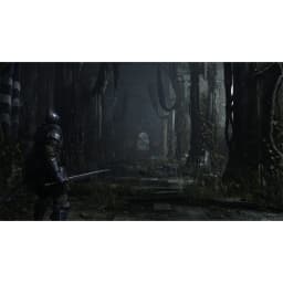 Demon's Souls