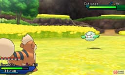 POKEMON Y 6
