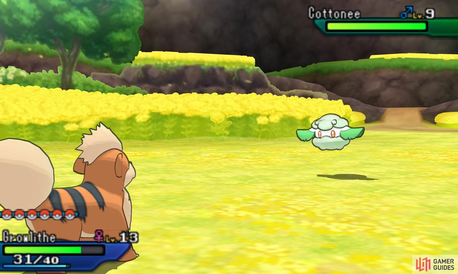 POKEMON Y 6