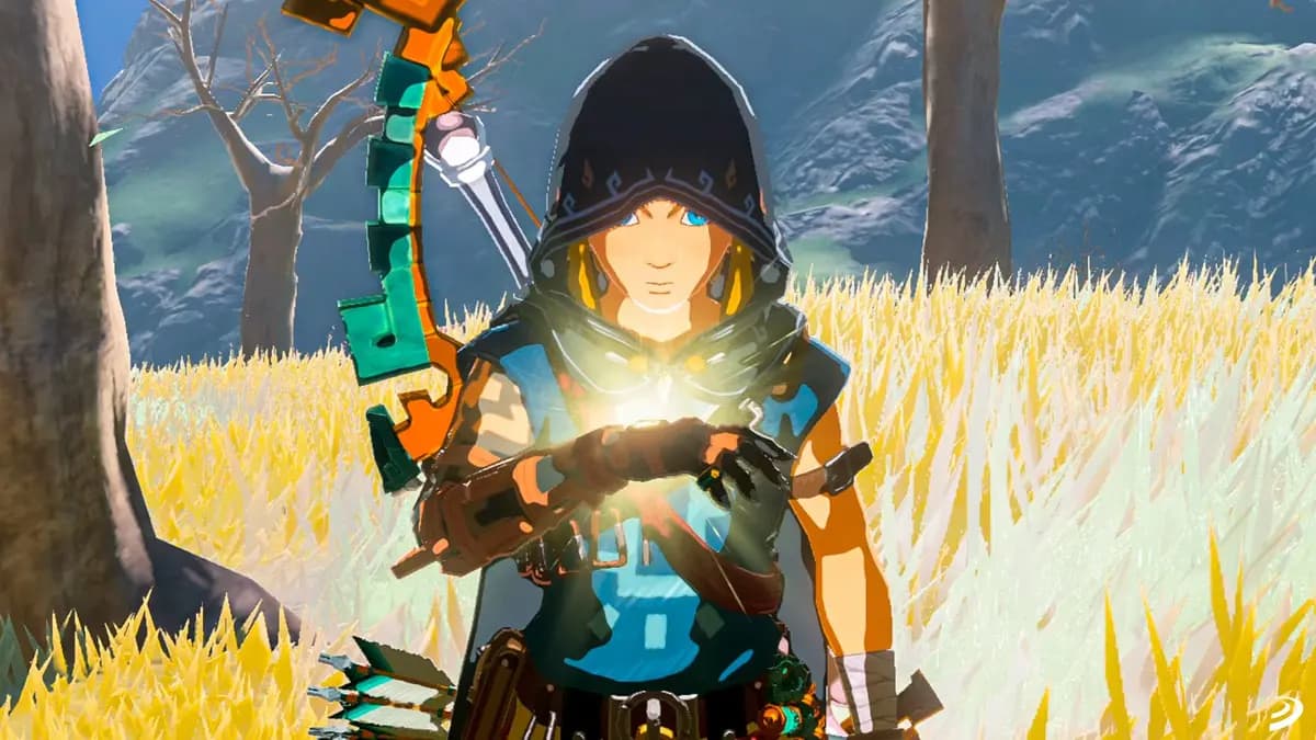 The Legend Of Zelda Tears Of The Kingdom NSW2