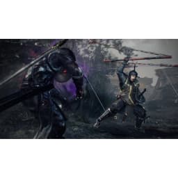 Nioh 2