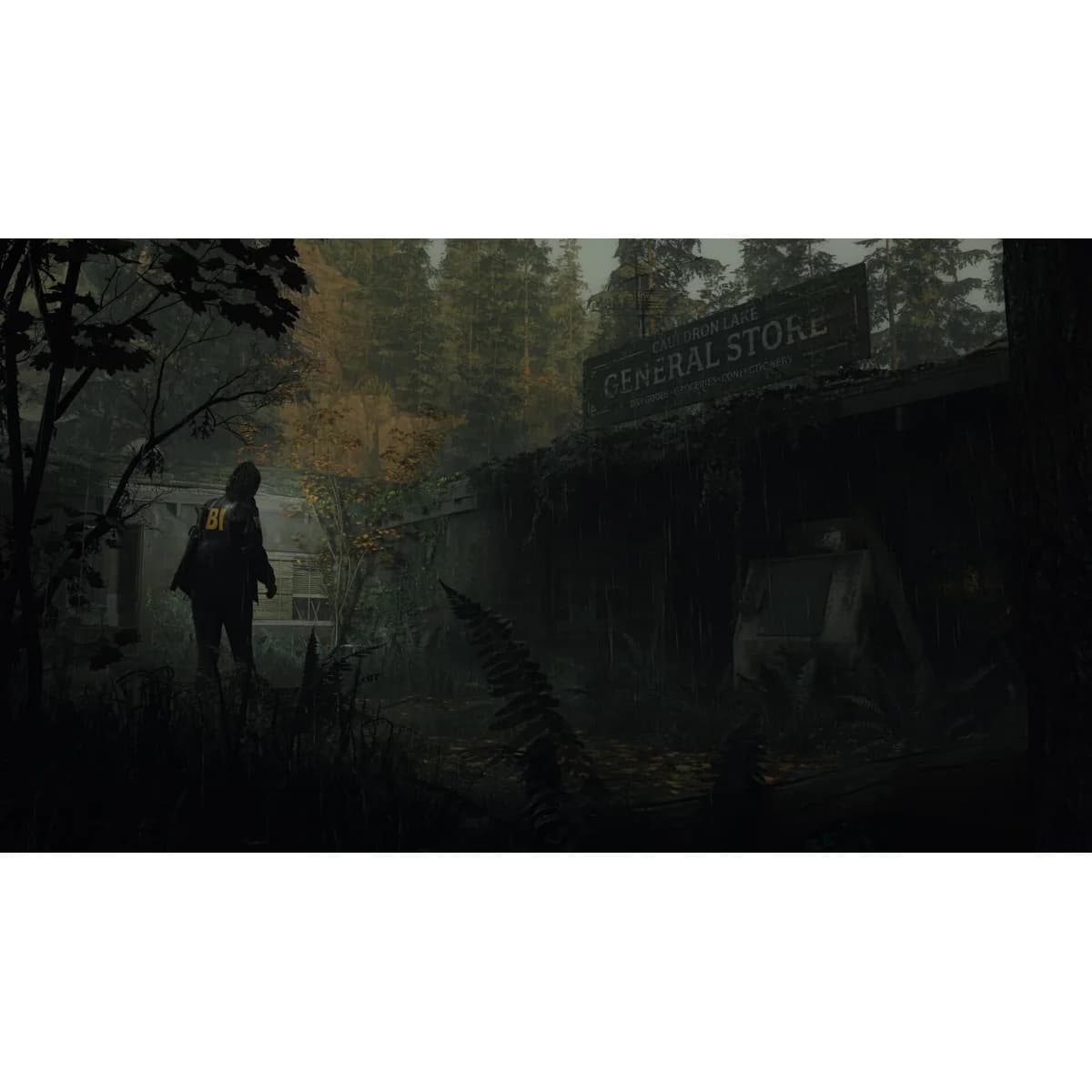 Alan Wake 2